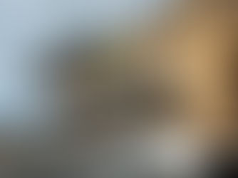 PROJECT EVOLUTION: MELBOURNE BUILDING & SCAFFOLDING INDUSTRY