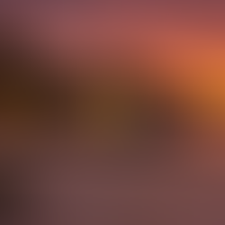 Dracon International: Building a China Supply Chain You Can Repeat in the Pacific