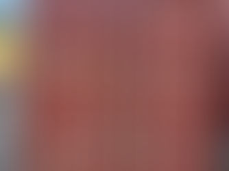 Shopping for 40ft Containers, client wants to ship his goods and own the container. 