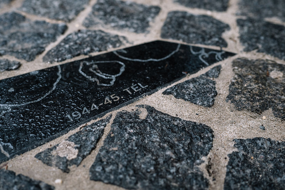 fotó: Sivák Zsófi