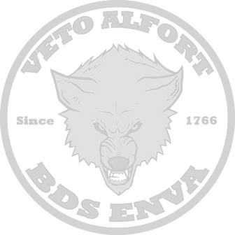 logo bds_edited_edited_edited_edited_edi