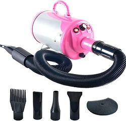 Health Tested Toy Poodles