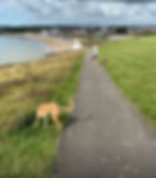 Some of the amazing views from Nell's Point