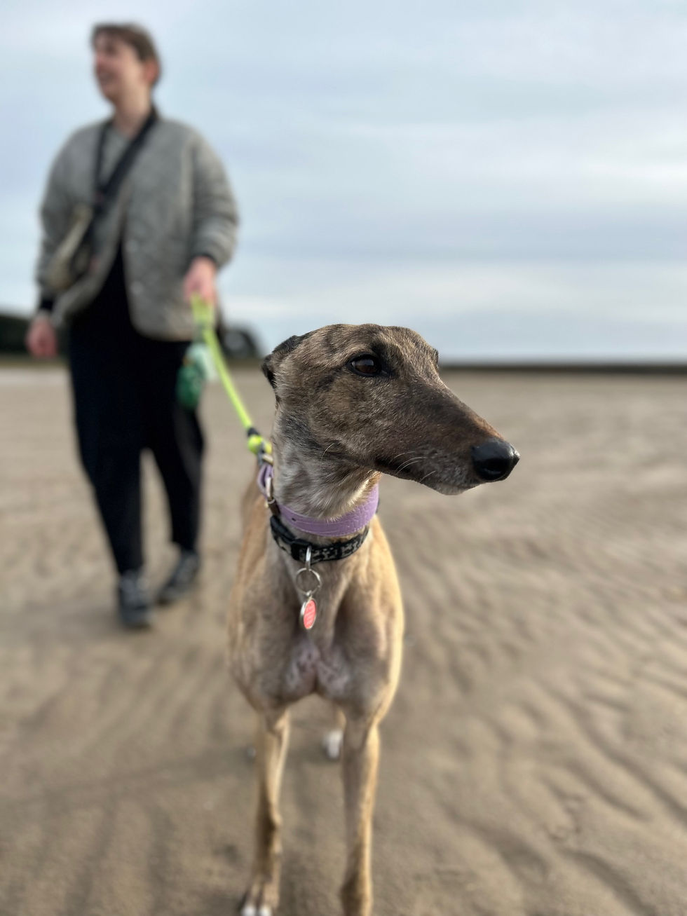 Mags happy place became the beach