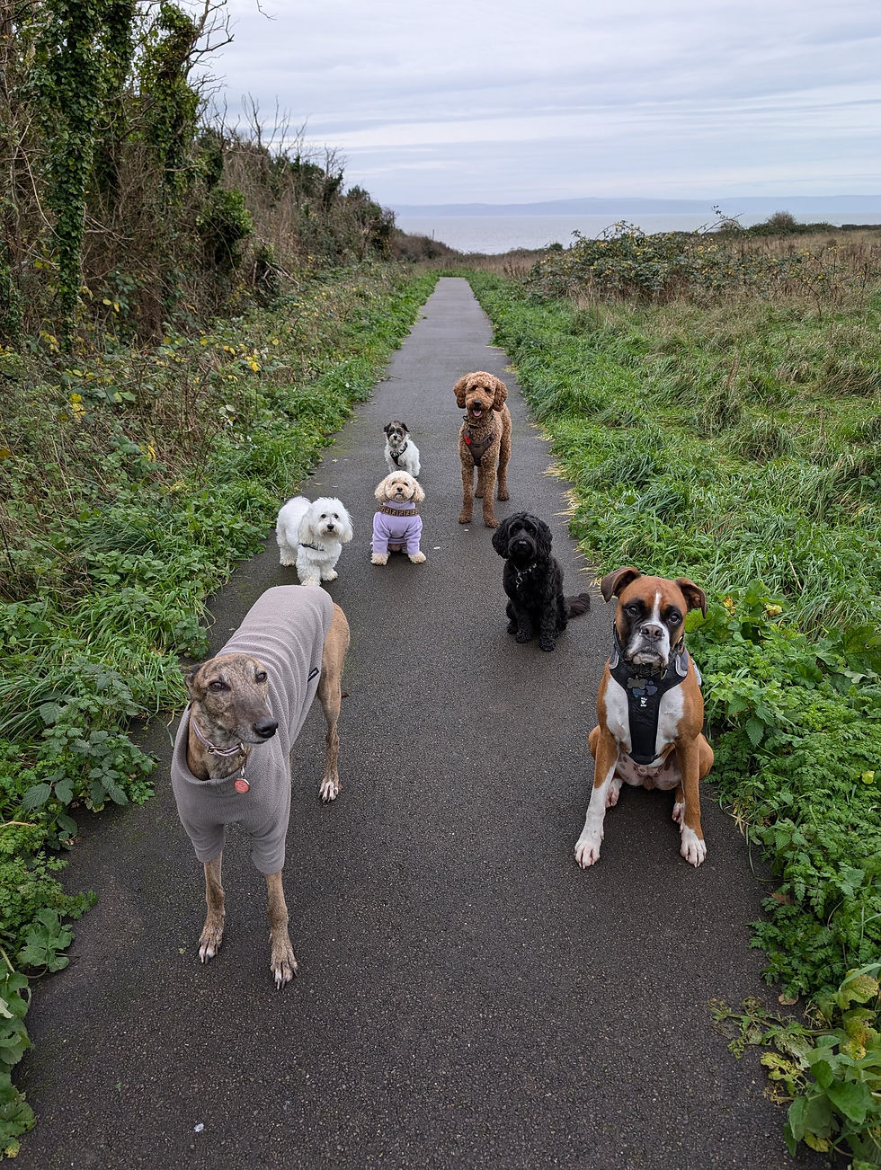 A sassy lady with all her mates