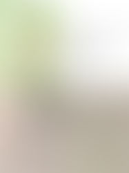 KIÊU NGẠO CỦA LÝ TƯƠNG DI VÀ KHÍ ĐỘ CỦA LÝ LIÊN HOA