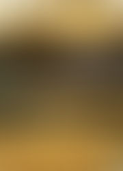 NGÔN NGỮ PHIM ẢNH TRONG TRƯỜNG AN 24 KẾ