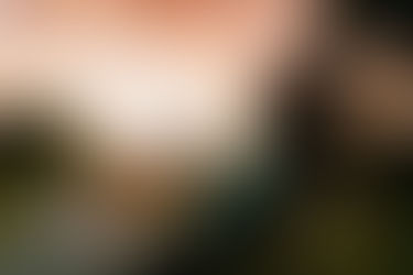 THÀNH NGHỊ---ANH ẤY THẬT KHÁC