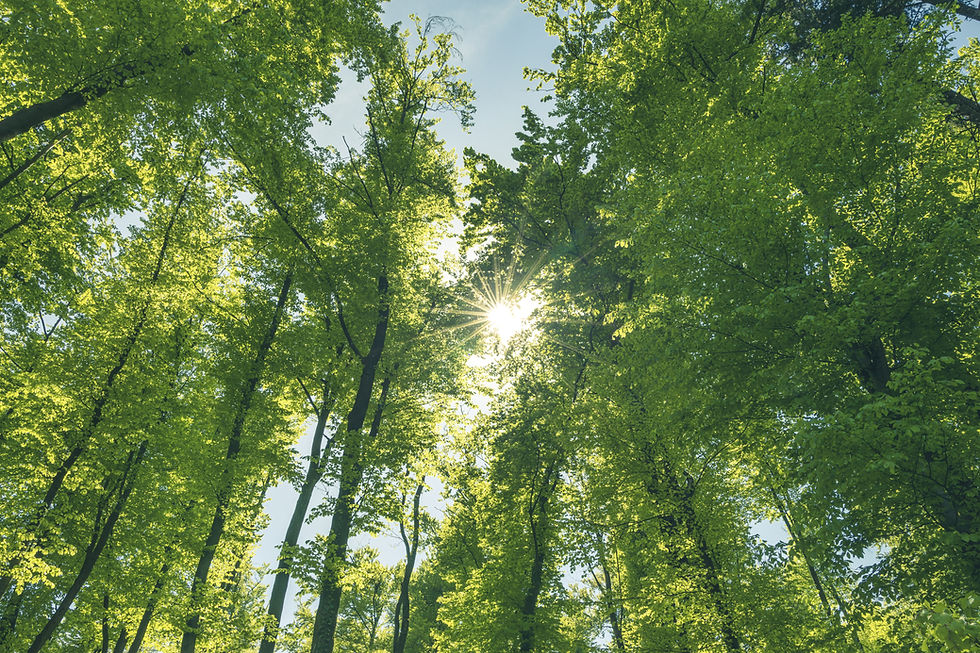 AdobeStock_341317583.jpeg