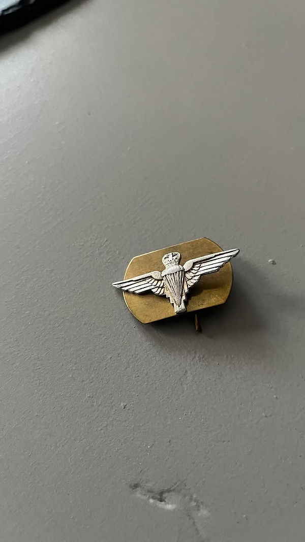 Airborne badge.jpg