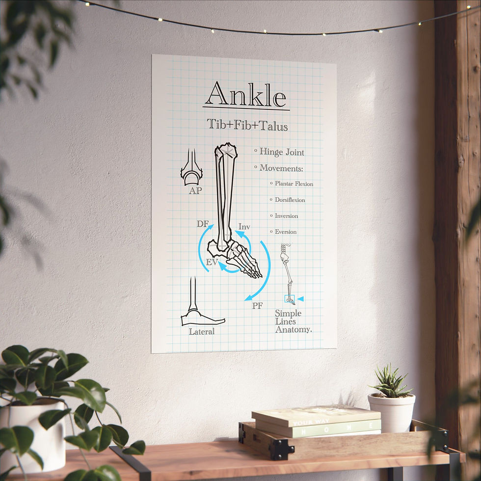 Thumbnail: The Schematic Ankle Joint