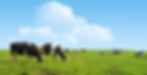 AdobeStock_82916061.jpeg