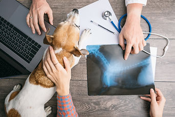 Diagnostic Imaging