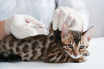 Vaccinations