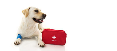 Emergency Care