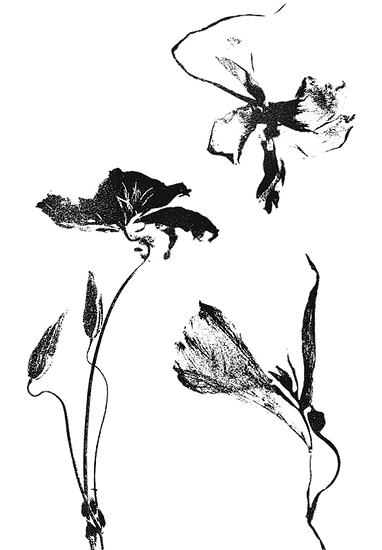flowers.png
