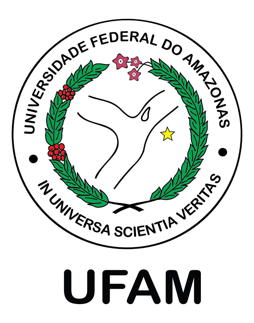 01 ufam-02