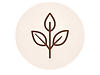 ChatGPT Image 3 de jun. de 2026, 16_25_55.png