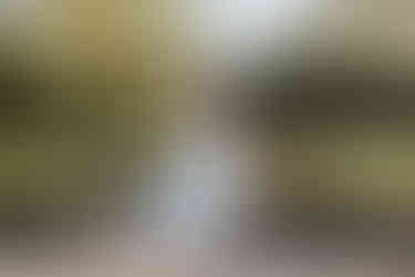 Bridal Portraits at New Woll Estate