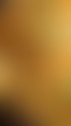 The Ultimate Comfort Pairing: Royal Golden Latte Rooibos & Macaroni and Cheese