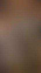 From Fandom to Ownership: How NFT Utility Is Changing Book Marketing