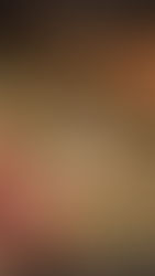 A Perfect Pairing: Western Cape Rooibos and Collard Greens with Smoked Turkey