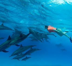 Schermafdruk 2019-09-26 20.39.54.png