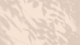 Background textures-07.jpg