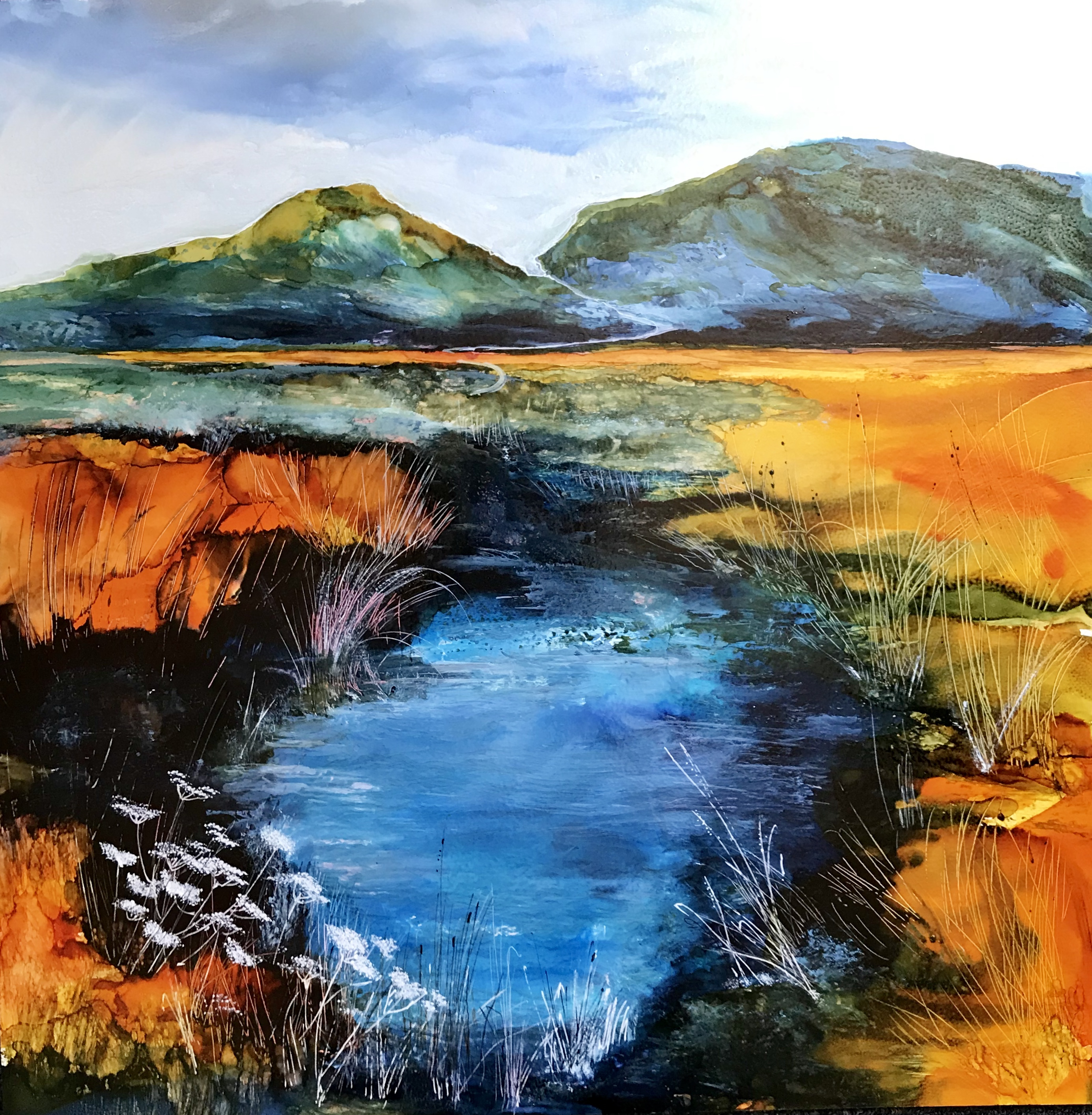 Wildflower and Trout Dreams $710