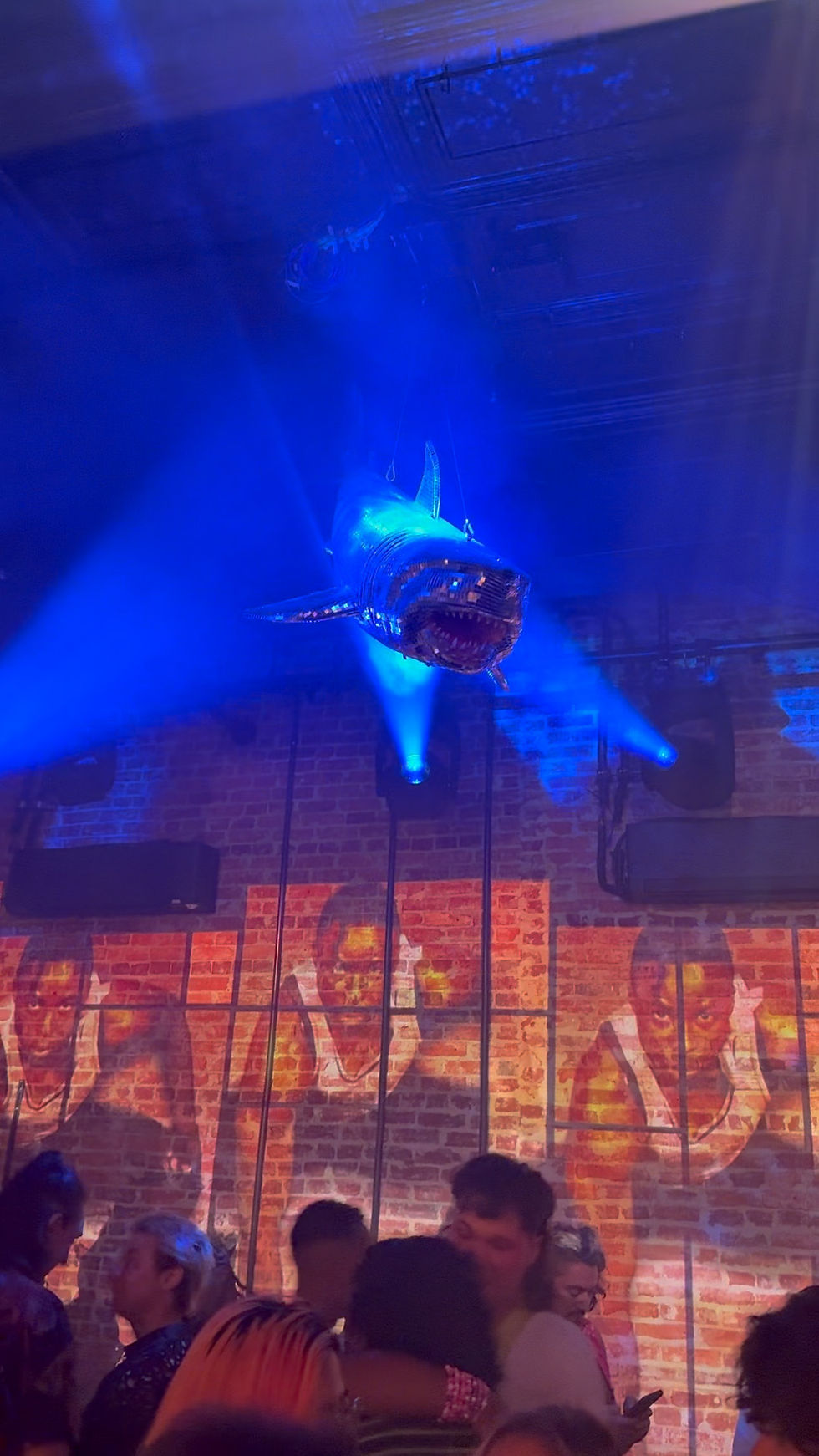 Projections under Sharka Khan, Trade's iconic shark disco shark