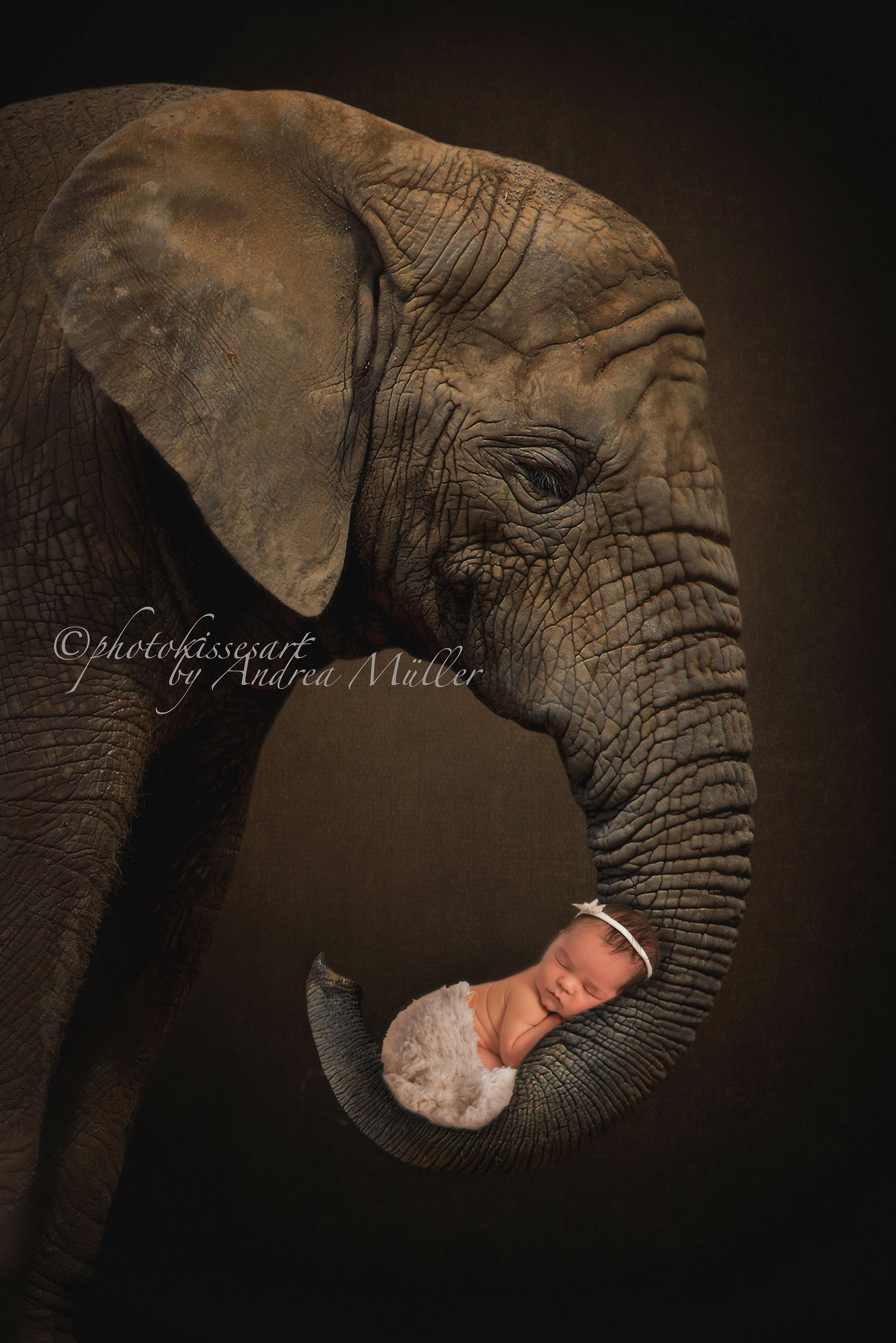 Babyfoto Langenfeld, Neugeborenenfotografie, Babyfotograf, Fotostudio, photokissesart in Langenfeld, Leverkusen, Leichlingen, Monheim, Solingen