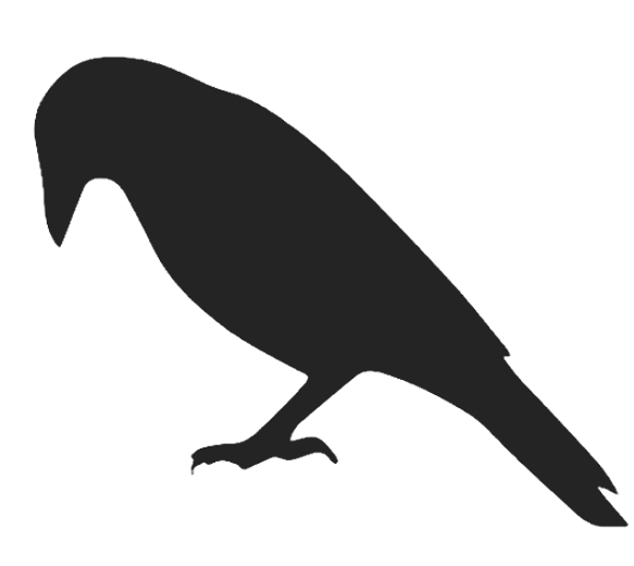 vecteezy_silhouettes-of-crows-vector-ill