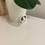Thumbnail: Eddie sticker sitting up against a potted plant