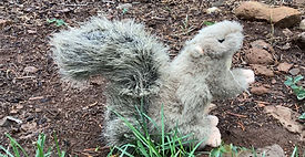 Important announcement