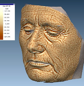 3D FACE IMAGE.png