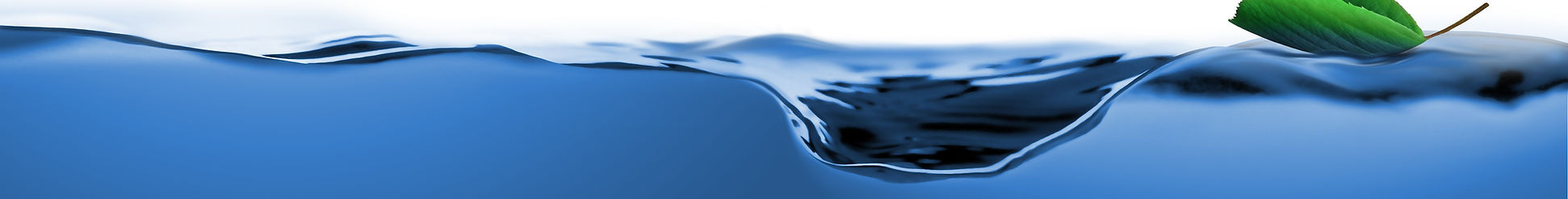 DELFIN Logo