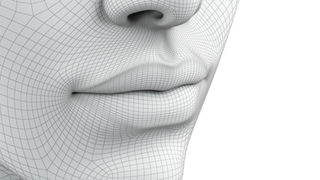 High-resolution 3D wireframe mesh of a human face showing detailed skin topography around the nose, lips, and cheek, illustrating fringe projection and stereometry used in advanced 3D skin imaging and cosmetic research.