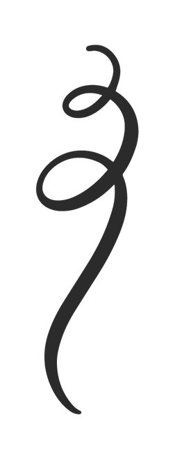 Swashes and Swirls SVG Cut File.png