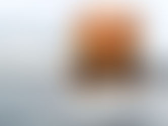 Road Salt: Kind to Drivers but Not the Planet