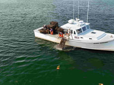 Maine Fishers Haul in Tons of ‘Ghost’ Gear