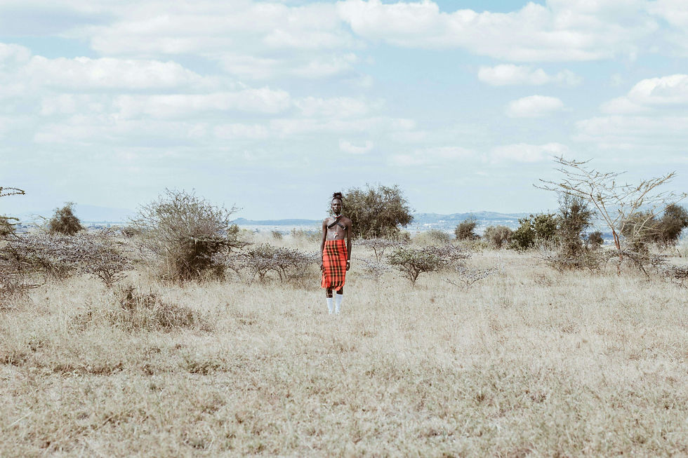Trees can be few and far between in portions of Kenya. Pexels