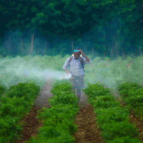 Half of All World’s Farmers May Experience Pesticide Poisoning Each Year