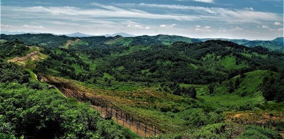 DMZ areas (beyond the border fence in the foreground) are strictly off-limits to civilian activity, allowing diverse natural ecosystems to remain preserved. Photo courtesy of DMZ Museum