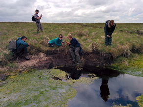 Global Initiative to Restore Peatlands Makes Strides in the UK—How These Crucial Carbon Sinks Are Making a Comeback 