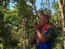 Can ‘Ecospirituality’ Revive Appreciation of the ‘Sacred Cosmos’?