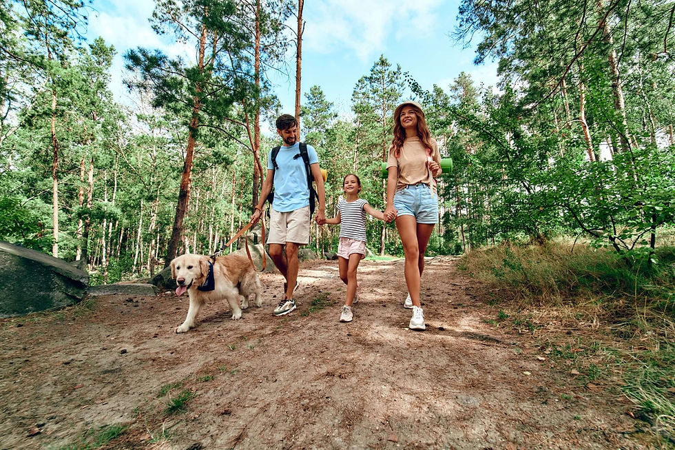 A family with their dog in nature. ©iStock/Valerii Apetoraiei
