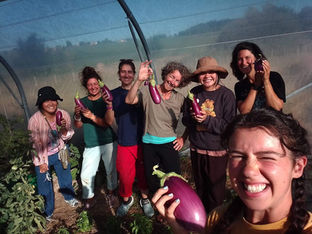 Happy Farm: Healing Fields and Farmers