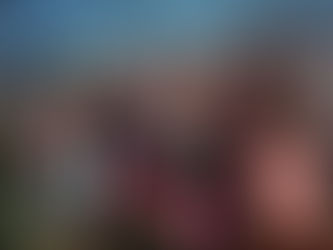 Happy Farm: Healing Fields and Farmers