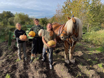 Feeding the World While Healing the Planet—the Genius of Permaculture