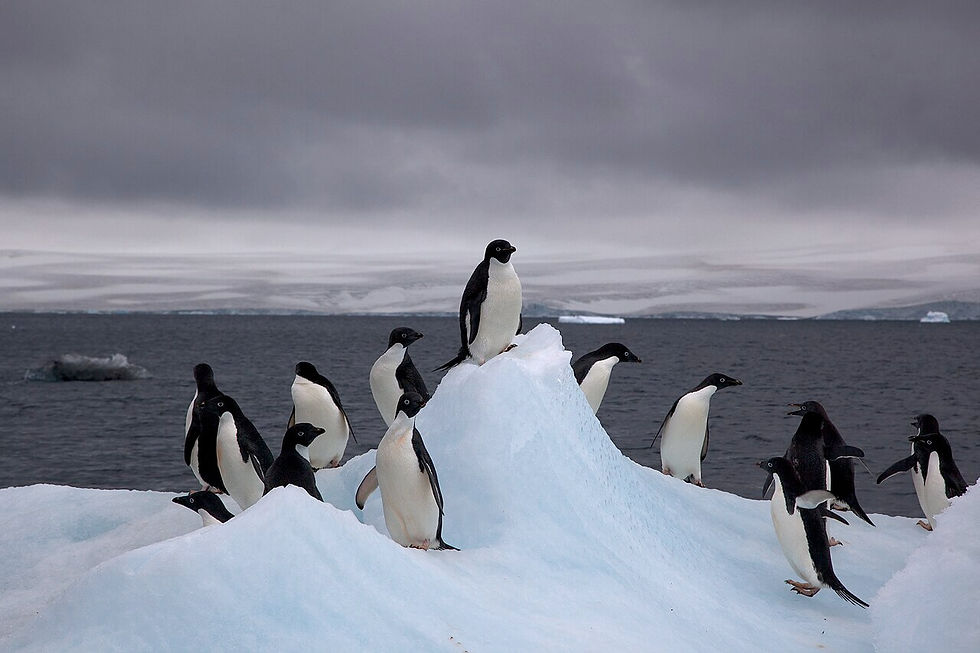An Eco-Success Story: Ozone Hole Recovery on Track